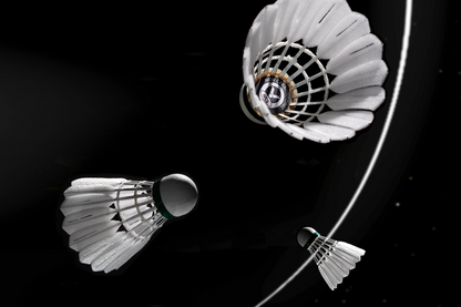 Victor New Carbonsonic Pro (NCS-PRO) Shuttlecock (12 pcs) 2025 - Bonbonbadminton